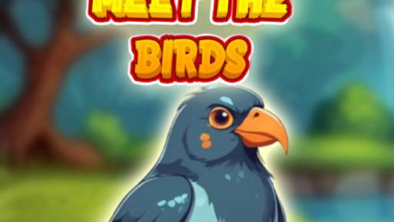 Meet The Birds: Fun Educational Adventure for Kids image